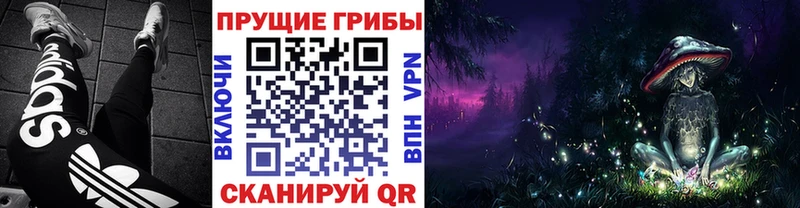продажа наркотиков  Беслан  Псилоцибиновые грибы Magic Shrooms 