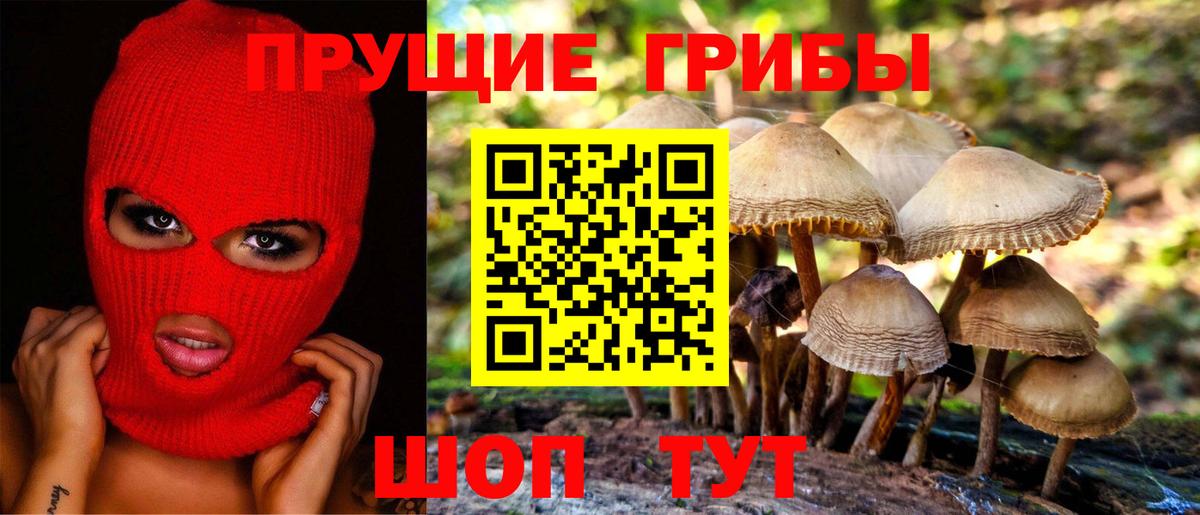 Псилоцибиновые грибы прущие грибы  где найти   Беслан  Вход с VPN 